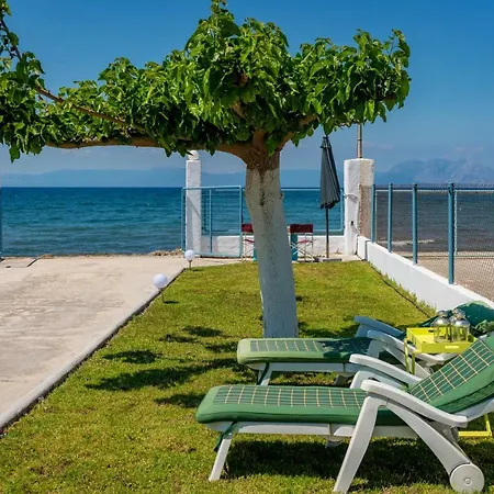 Kiko, The Coastline House *