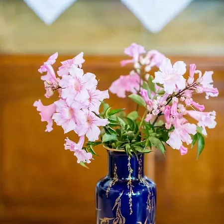 Kiko, The Coastline House בית נופש קאטו אכאיה