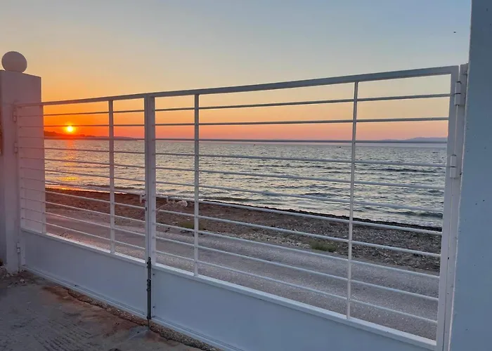 Kiko, The Coastline House