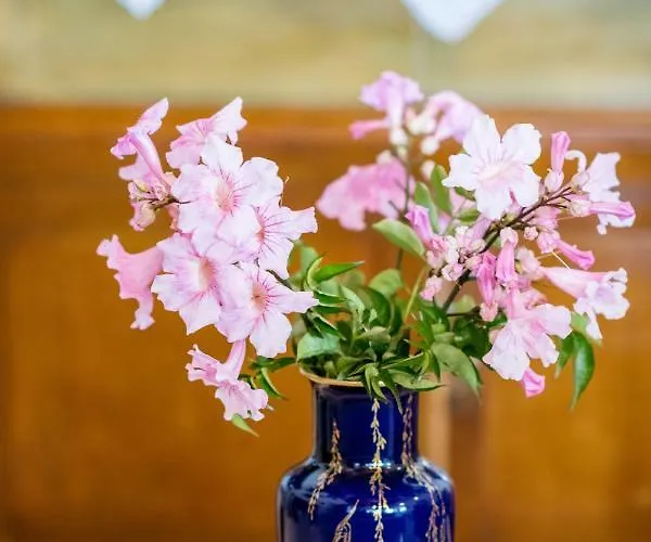 Kiko, The Coastline House Prázdninový dům Kato Achaia